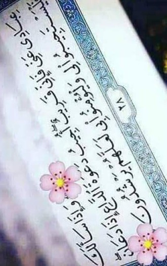 ���� ����