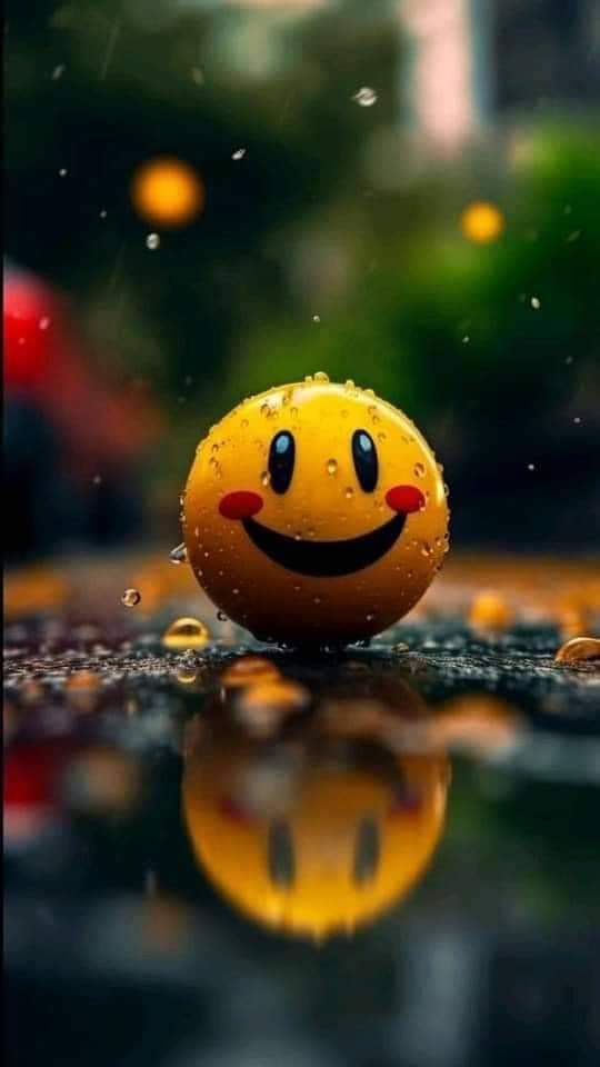 yassine bouzayen_ckKuC