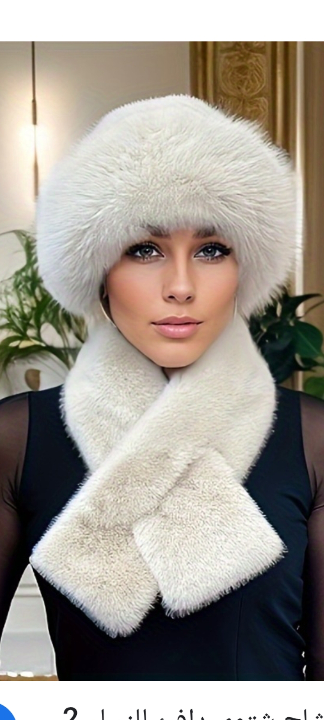 ���� ������ ������_g6SQB